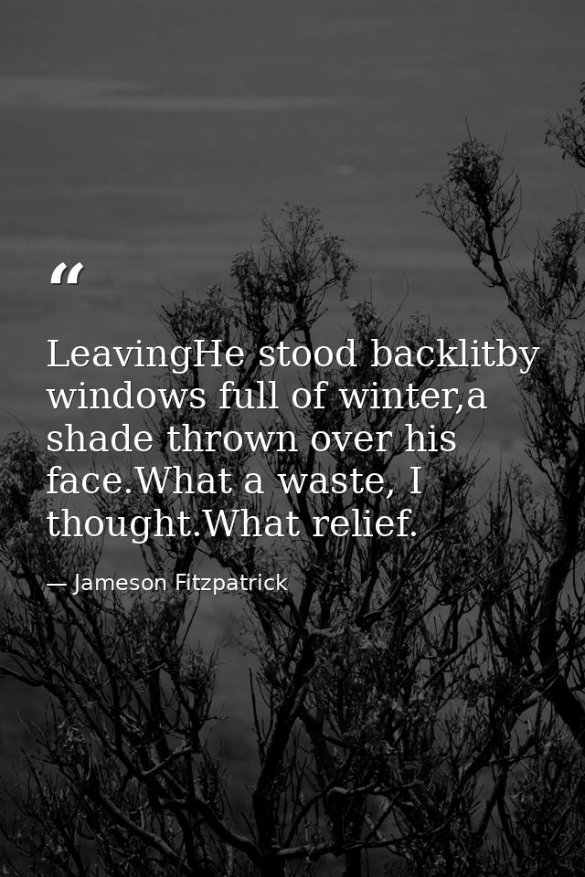 LeavingHe stood backlitby windows full of winter,a shade thrown over his face.What a waste, I thought.What relief. — Jameson Fitzpatrick