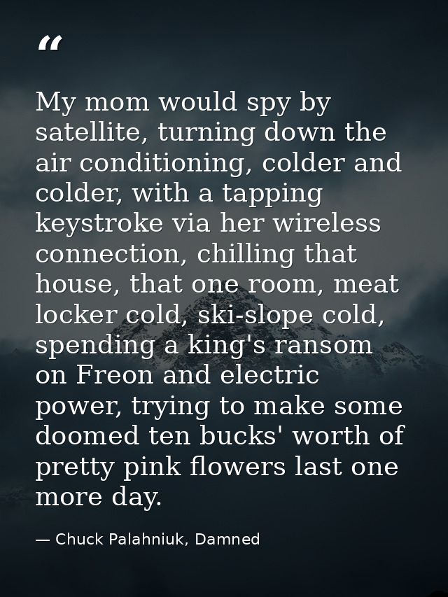 My mom would spy by satellite, turning down the air conditioning, colder and colder, with a tapping keystroke via her wi — Chuck Palahniuk, Damned