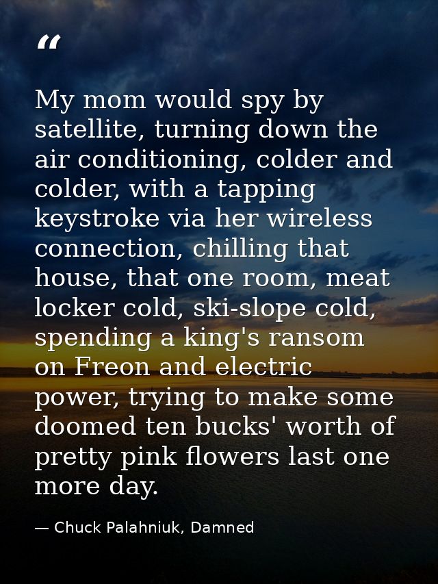 My mom would spy by satellite, turning down the air conditioning, colder and colder, with a tapping keystroke via her wi — Chuck Palahniuk, Damned