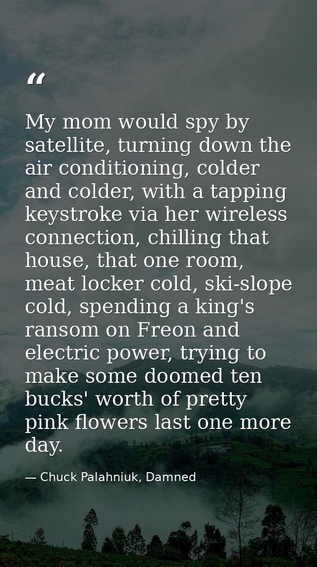 My mom would spy by satellite, turning down the air conditioning, colder and colder, with a tapping keystroke via her wi — Chuck Palahniuk, Damned