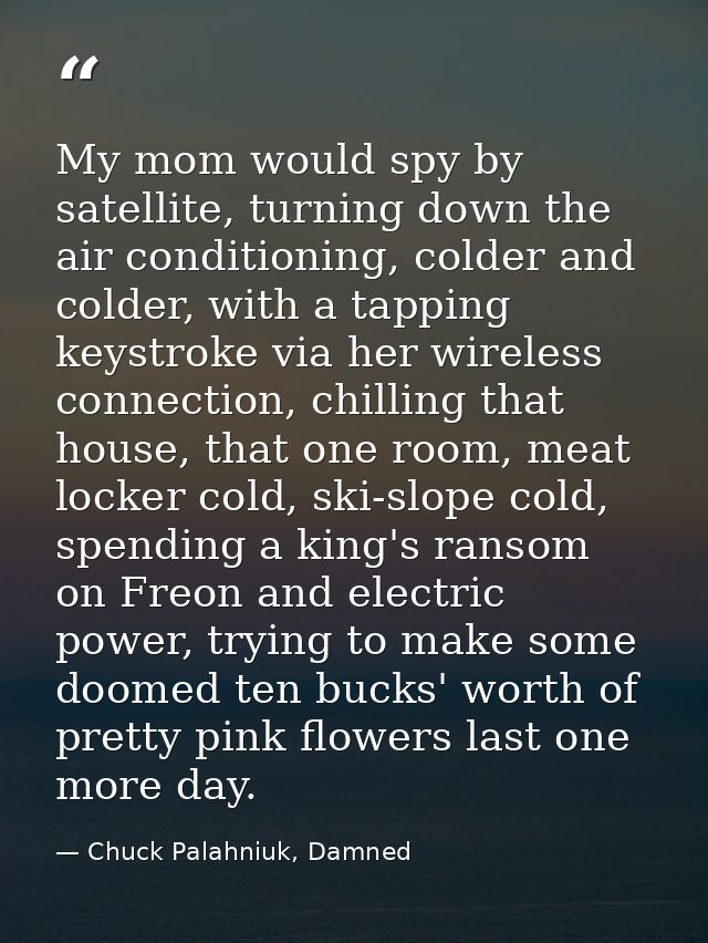 My mom would spy by satellite, turning down the air conditioning, colder and colder, with a tapping keystroke via her wi — Chuck Palahniuk, Damned