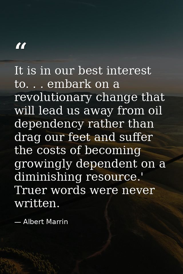 It is in our best interest to. . . embark on a revolutionary change that will lead us away from oil dependency rather th — Albert Marrin
