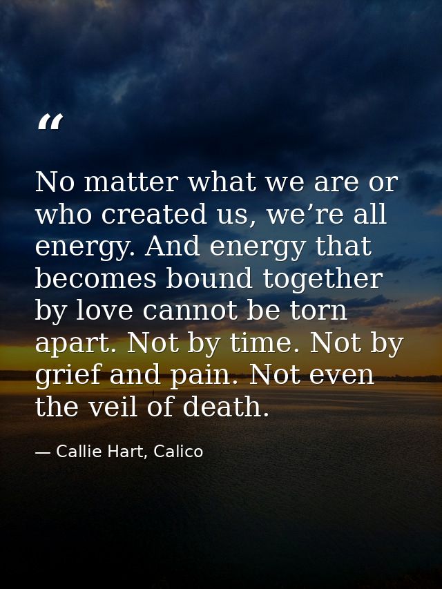 No matter what we are or who created us, we’re all energy. And energy that becomes bound together by love cannot be torn — Callie Hart, Calico