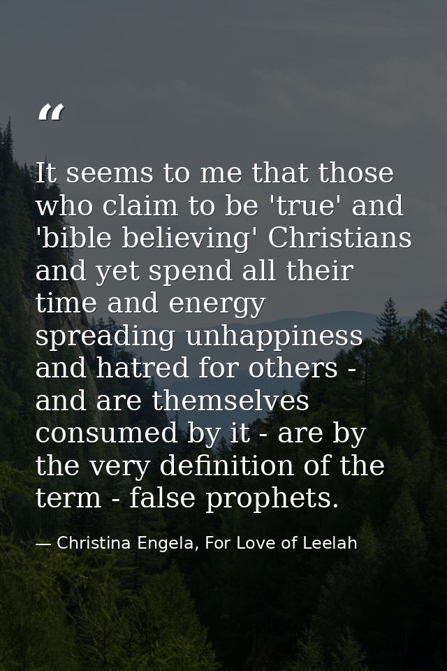 It seems to me that those who claim to be 'true' and 'bible believing' Christians and yet spend all their time and energ — Christina Engela, For Love of Leelah