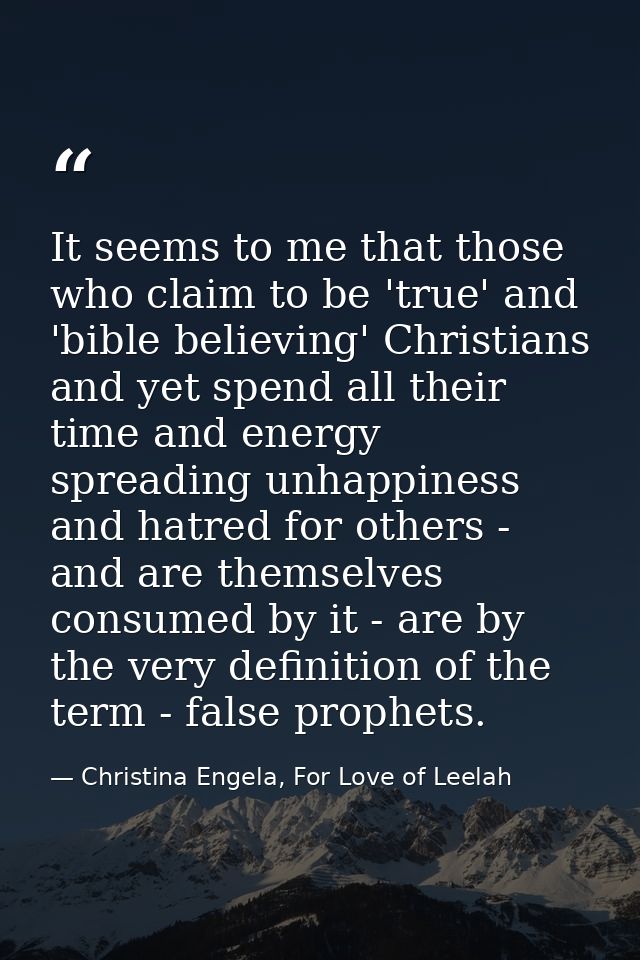 It seems to me that those who claim to be 'true' and 'bible believing' Christians and yet spend all their time and energ — Christina Engela, For Love of Leelah