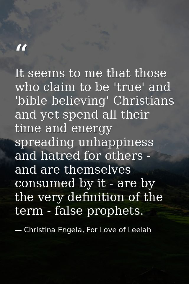 It seems to me that those who claim to be 'true' and 'bible believing' Christians and yet spend all their time and energ — Christina Engela, For Love of Leelah