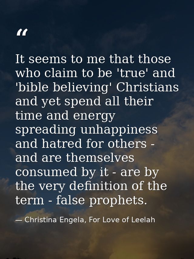 It seems to me that those who claim to be 'true' and 'bible believing' Christians and yet spend all their time and energ — Christina Engela, For Love of Leelah