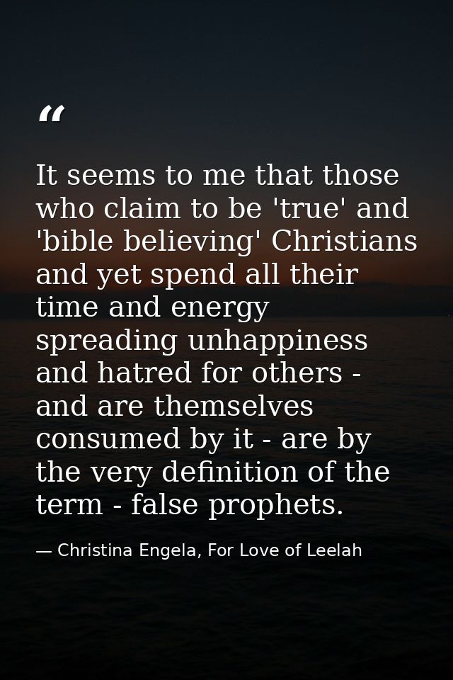 It seems to me that those who claim to be 'true' and 'bible believing' Christians and yet spend all their time and energ — Christina Engela, For Love of Leelah