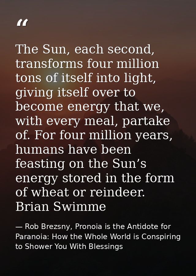 The Sun, each second, transforms four million tons of itself into light, giving itself over to become energy that we, wi — Rob Brezsny, Pronoia is the Antidote for Paranoia: How the Whole World is Conspiring to Shower You With Blessings