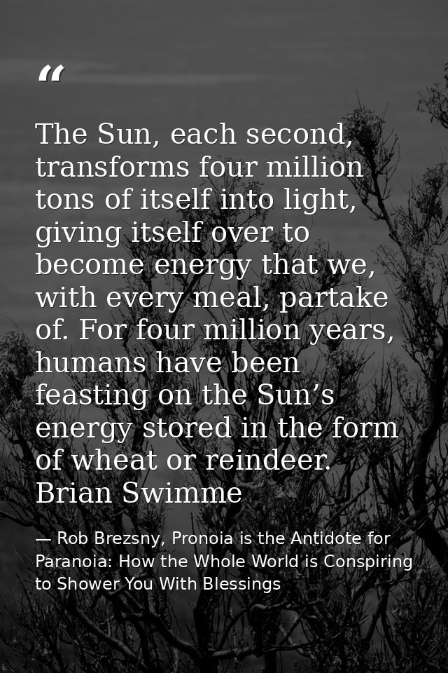 The Sun, each second, transforms four million tons of itself into light, giving itself over to become energy that we, wi — Rob Brezsny, Pronoia is the Antidote for Paranoia: How the Whole World is Conspiring to Shower You With Blessings