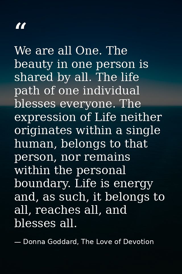 We are all One. The beauty in one person is shared by all. The life path of one individual blesses everyone. The express — Donna Goddard, The Love of Devotion