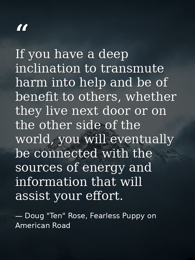 If you have a deep inclination to transmute harm into help and be of benefit to others, whether they live next door or o — Doug "Ten" Rose, Fearless Puppy on American Road
