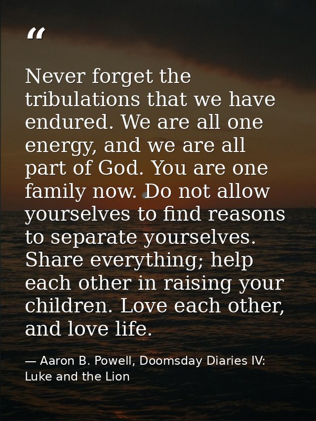 Never forget the tribulations that we have endured. We are all one energy, and we are all part of God. You are one famil — Aaron B. Powell, Doomsday Diaries IV: Luke and the Lion