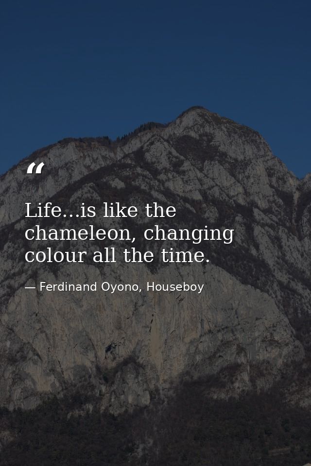 Life...is like the chameleon, changing colour all the time. — Ferdinand Oyono, Houseboy