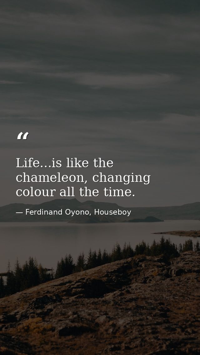 Life...is like the chameleon, changing colour all the time. — Ferdinand Oyono, Houseboy