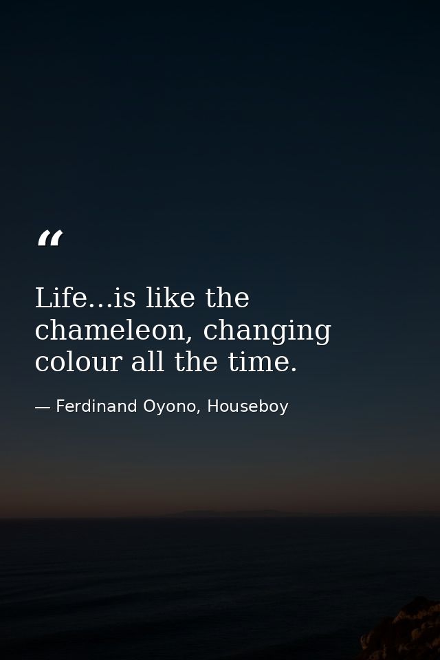 Life...is like the chameleon, changing colour all the time. — Ferdinand Oyono, Houseboy