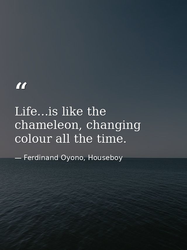 Life...is like the chameleon, changing colour all the time. — Ferdinand Oyono, Houseboy