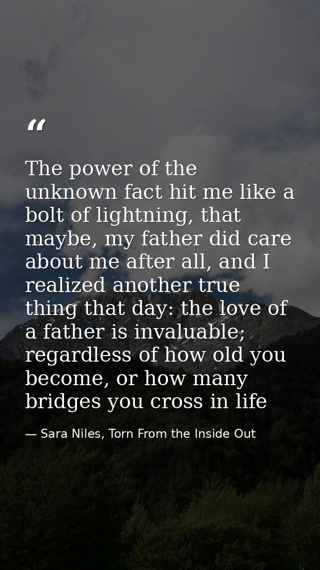 The power of the unknown fact hit me like a bolt of lightning, that maybe, my father did care about me after all, and I  — Sara Niles, Torn From the Inside Out