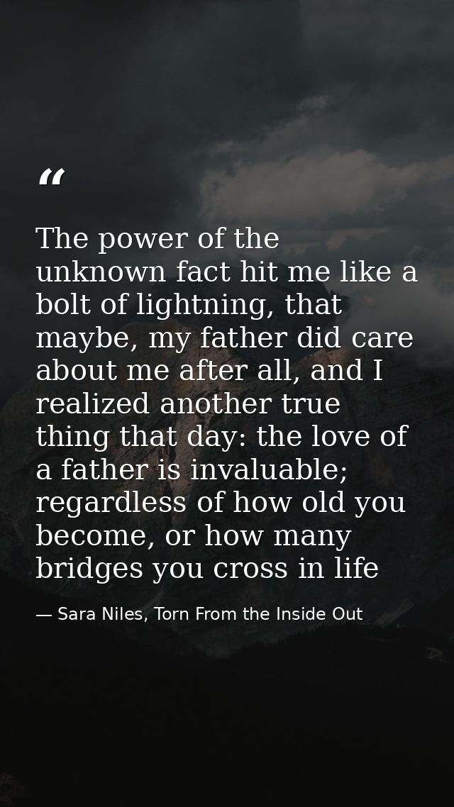 The power of the unknown fact hit me like a bolt of lightning, that maybe, my father did care about me after all, and I  — Sara Niles, Torn From the Inside Out