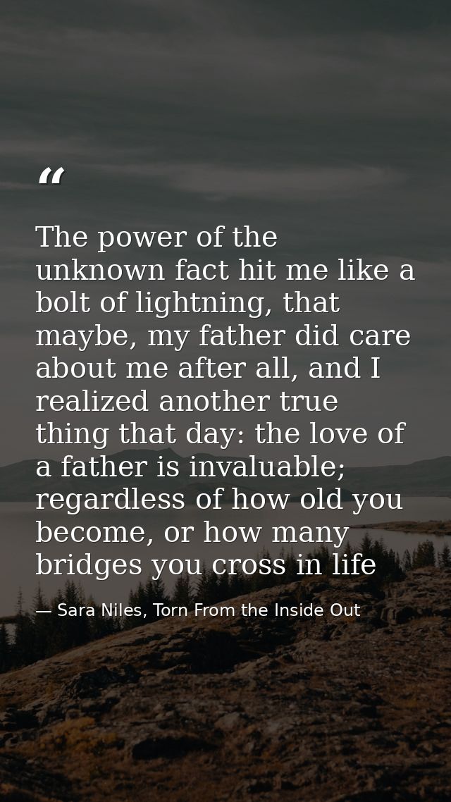 The power of the unknown fact hit me like a bolt of lightning, that maybe, my father did care about me after all, and I  — Sara Niles, Torn From the Inside Out