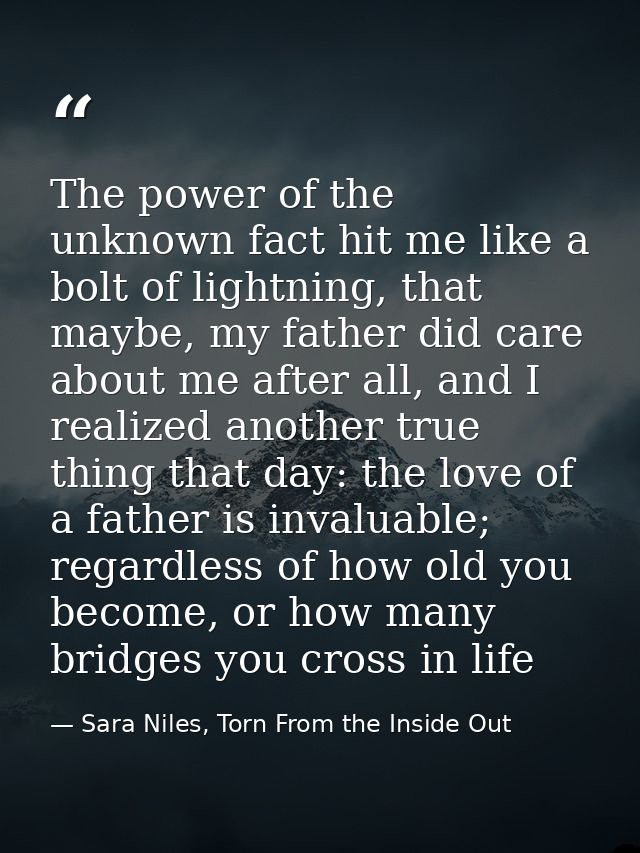 The power of the unknown fact hit me like a bolt of lightning, that maybe, my father did care about me after all, and I  — Sara Niles, Torn From the Inside Out