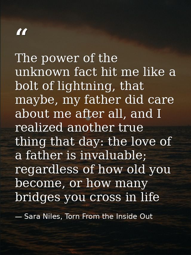The power of the unknown fact hit me like a bolt of lightning, that maybe, my father did care about me after all, and I  — Sara Niles, Torn From the Inside Out