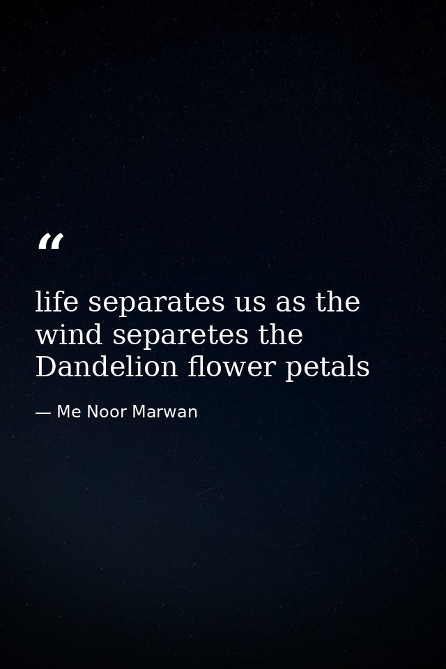life separates us as the wind separetes the Dandelion flower petals — Me Noor Marwan