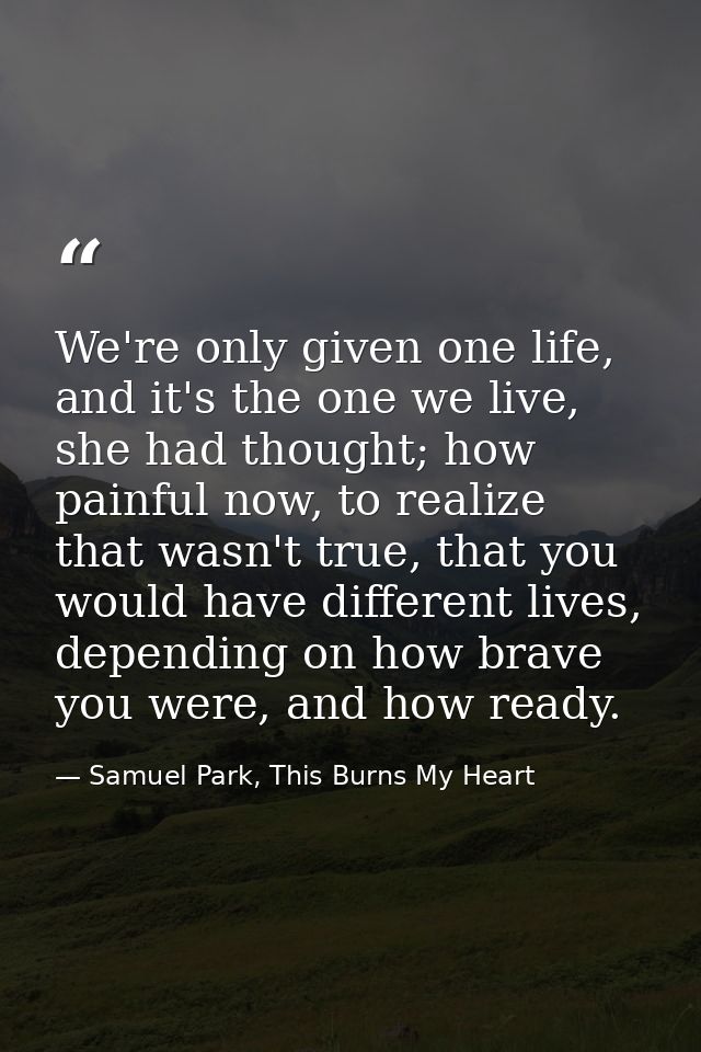 We're only given one life, and it's the one we live, she had thought; how painful now, to realize that wasn't true, that — Samuel Park, This Burns My Heart