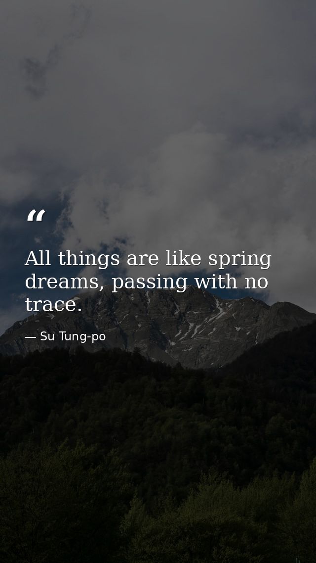 All things are like spring dreams, passing with no trace. — Su Tung-po