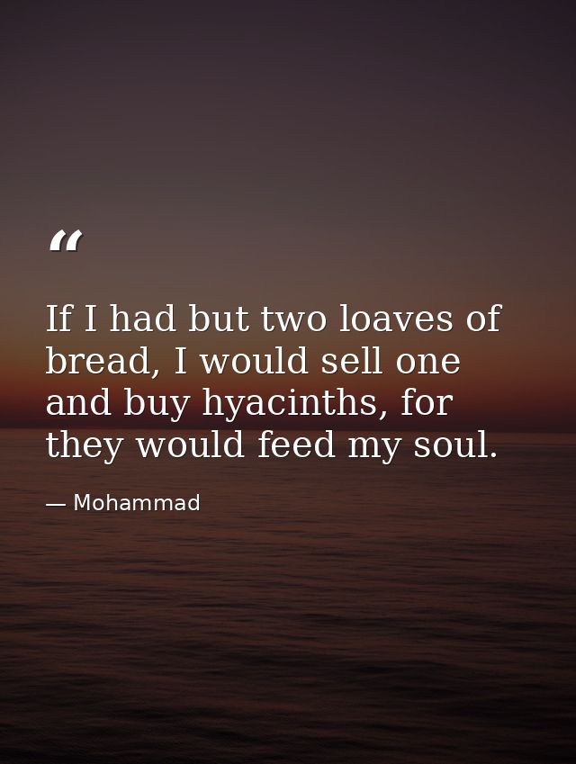 If I had but two loaves of bread, I would sell one and buy hyacinths, for they would feed my soul. — Mohammad