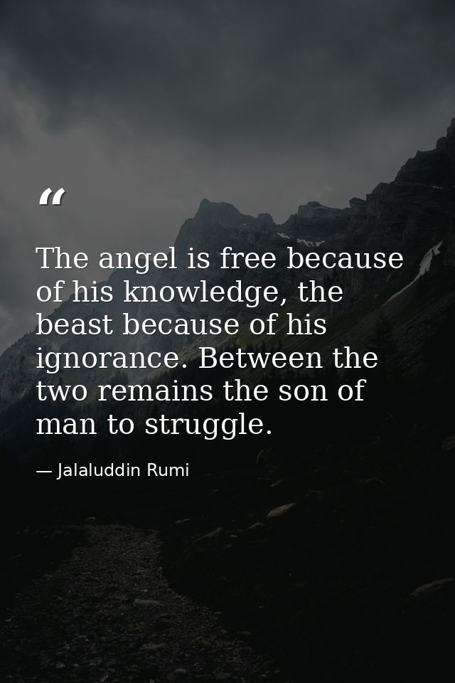 The angel is free because of his knowledge, the beast because of his ignorance. Between the two remains the son of man t — Jalaluddin Rumi