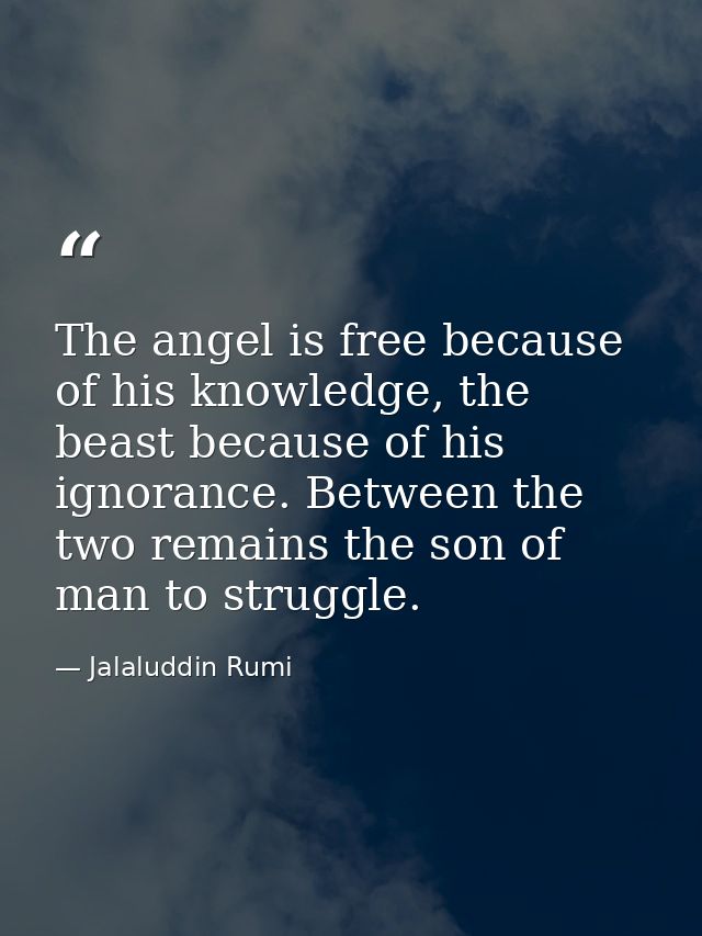 The angel is free because of his knowledge, the beast because of his ignorance. Between the two remains the son of man t — Jalaluddin Rumi