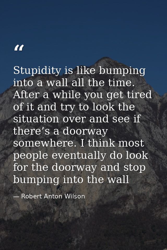Stupidity is like bumping into a wall all the time. After a while you get tired of it and try to look the situation over — Robert Anton Wilson