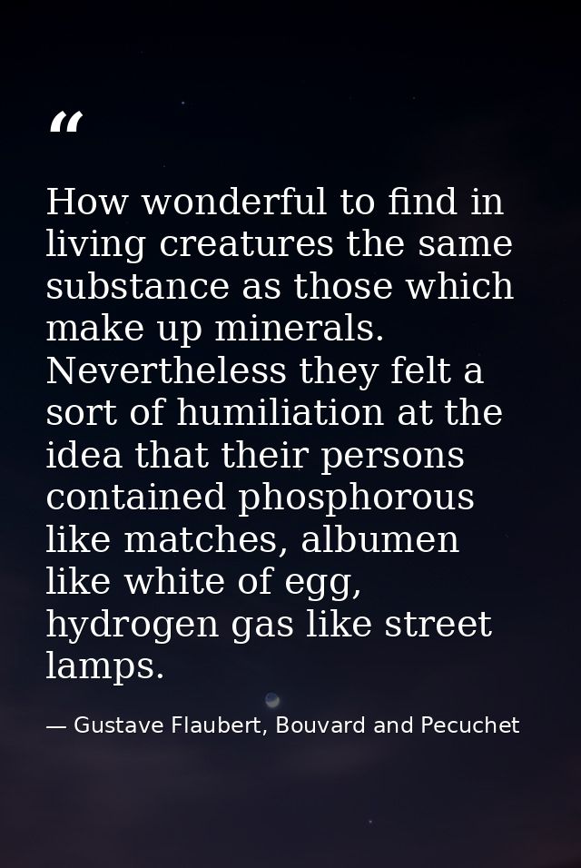How wonderful to find in living creatures the same substance as those which make up minerals. Nevertheless they felt a s — Gustave Flaubert, Bouvard and Pecuchet