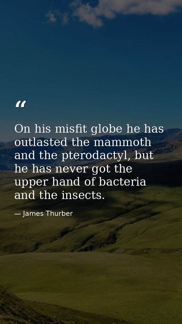 On his misfit globe he has outlasted the mammoth and the pterodactyl, but he has never got the upper hand of bacteria an — James Thurber