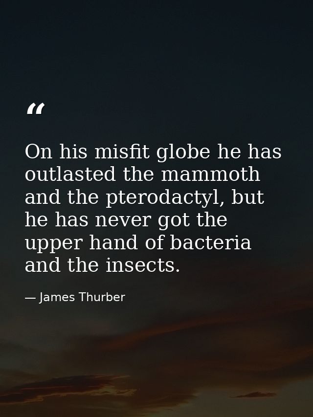 On his misfit globe he has outlasted the mammoth and the pterodactyl, but he has never got the upper hand of bacteria an — James Thurber