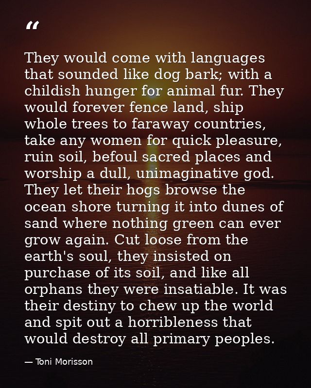 They would come with languages that sounded like dog bark; with a childish hunger for animal fur. They would forever fen — Toni Morisson