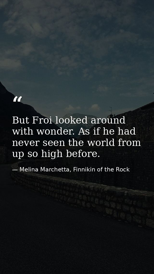 But Froi looked around with wonder. As if he had never seen the world from up so high before. — Melina Marchetta, Finnikin of the Rock