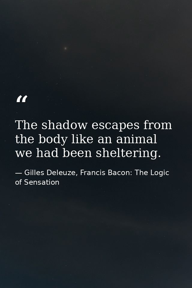 The shadow escapes from the body like an animal we had been sheltering. — Gilles Deleuze, Francis Bacon: The Logic of Sensation
