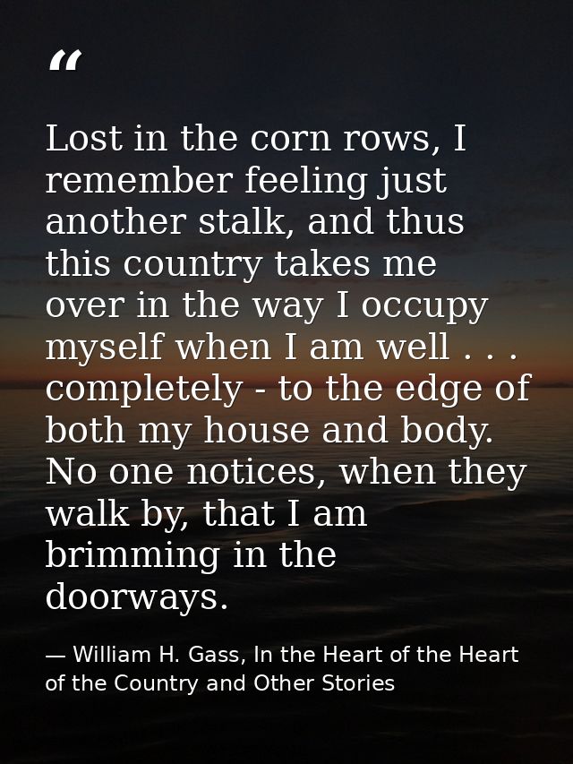 Lost in the corn rows, I remember feeling just another stalk, and thus this country takes me over in the way I occupy my — William H. Gass, In the Heart of the Heart of the Country and Other Stories
