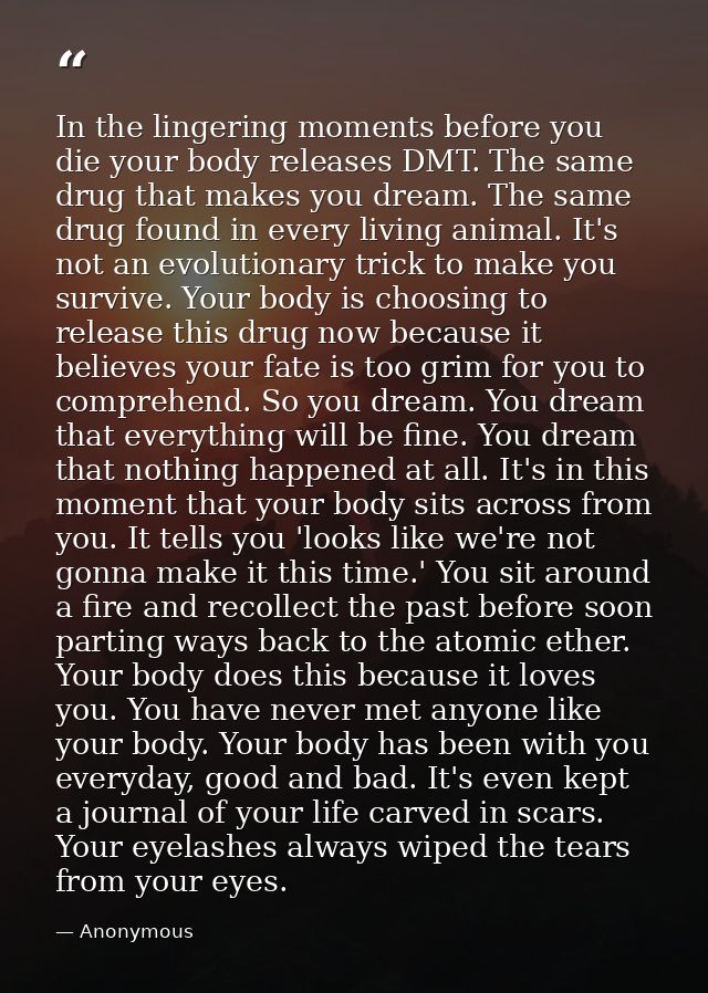 In the lingering moments before you die your body releases DMT. The same drug that makes you dream. The same drug found  — Anonymous