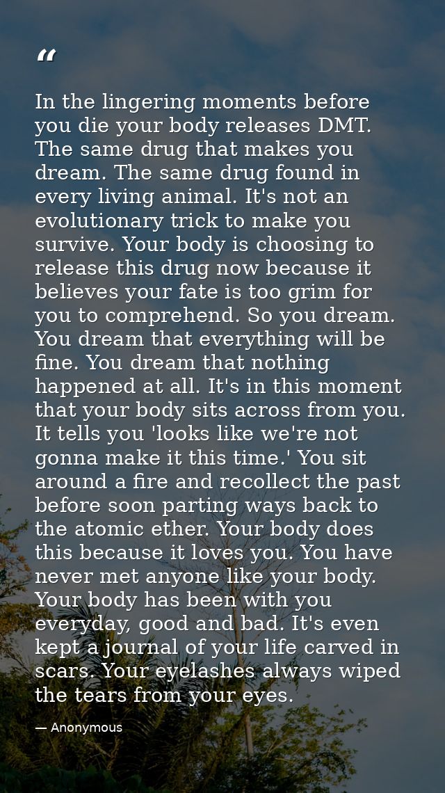 In the lingering moments before you die your body releases DMT. The same drug that makes you dream. The same drug found  — Anonymous