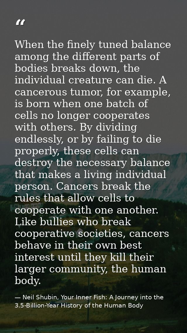 When the finely tuned balance among the different parts of bodies breaks down, the individual creature can die. A cancer — Neil Shubin, Your Inner Fish: A Journey into the 3.5-Billion-Year History of the Human Body
