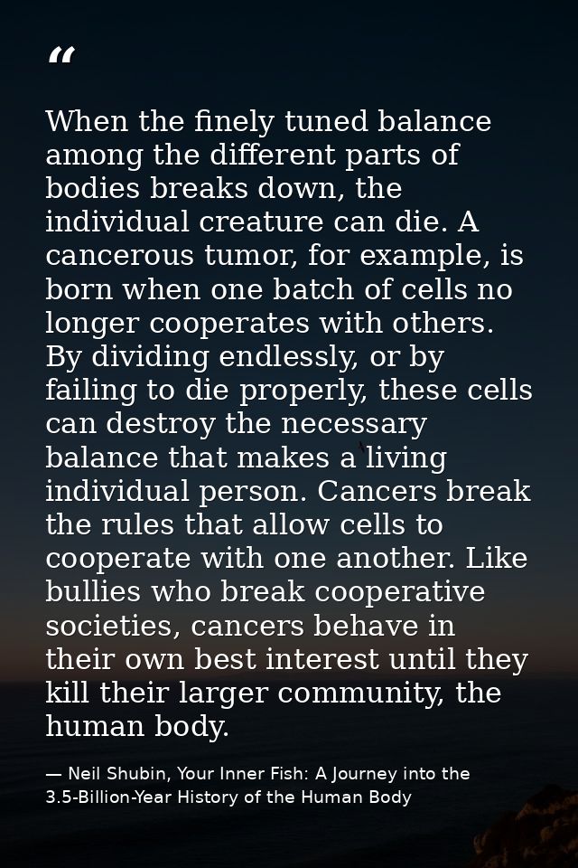 When the finely tuned balance among the different parts of bodies breaks down, the individual creature can die. A cancer — Neil Shubin, Your Inner Fish: A Journey into the 3.5-Billion-Year History of the Human Body