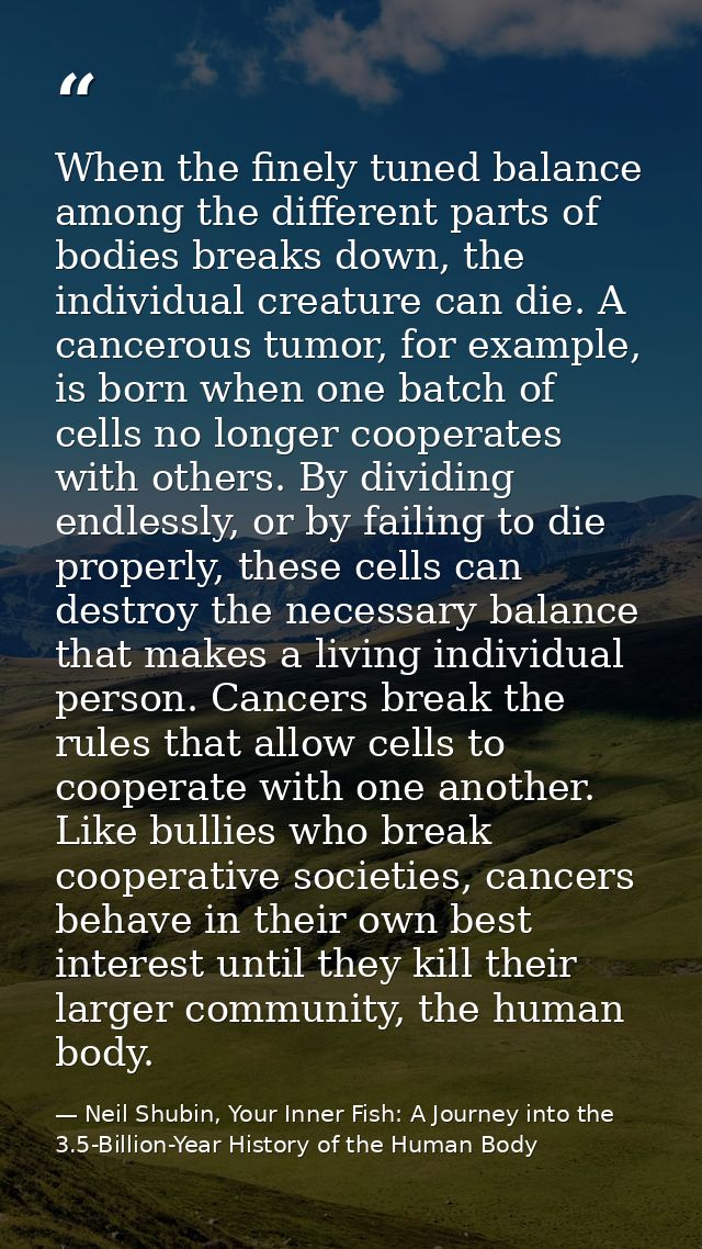 When the finely tuned balance among the different parts of bodies breaks down, the individual creature can die. A cancer — Neil Shubin, Your Inner Fish: A Journey into the 3.5-Billion-Year History of the Human Body