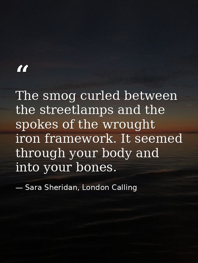 The smog curled between the streetlamps and the spokes of the wrought iron framework. It seemed through your body and in — Sara Sheridan, London Calling