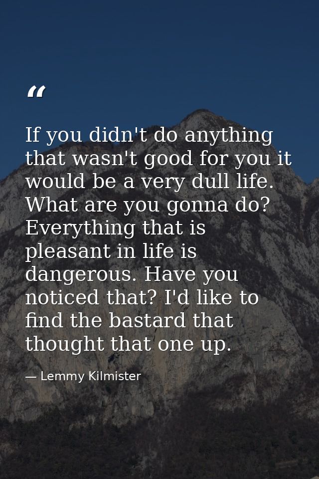 If you didn't do anything that wasn't good for you it would be a very dull life. What are you gonna do? Everything that  — Lemmy Kilmister