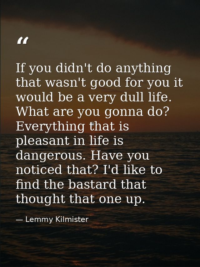 If you didn't do anything that wasn't good for you it would be a very dull life. What are you gonna do? Everything that  — Lemmy Kilmister