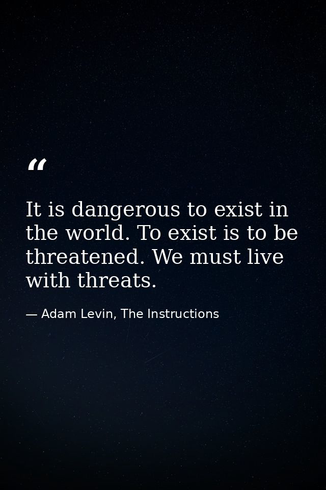 It is dangerous to exist in the world. To exist is to be threatened. We must live with threats. — Adam Levin, The Instructions