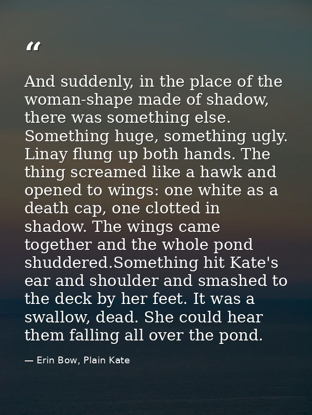 And suddenly, in the place of the woman-shape made of shadow, there was something else. Something huge, something ugly.  — Erin Bow, Plain Kate